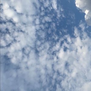 Meet your Posher, Daniela